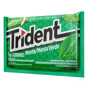 Chic Trident Menta 8G